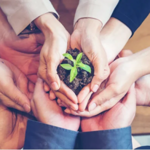 GESTÃO EM MEIO AMBIENTE – CURSO SUPERIOR SEQUENCIAL